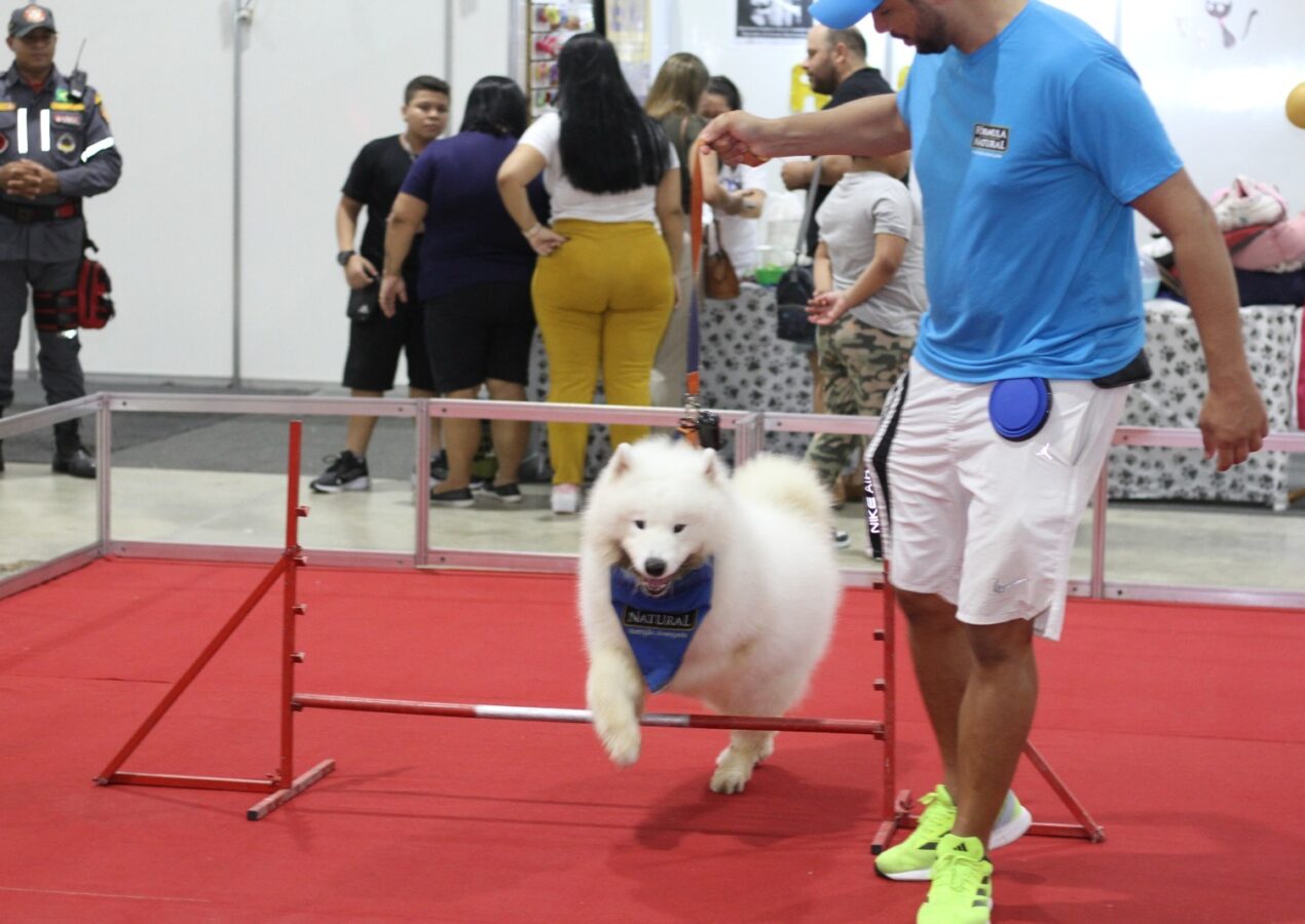 Multifeira tem competições, desfiles e exposição de animais a partir de hoje (07/07